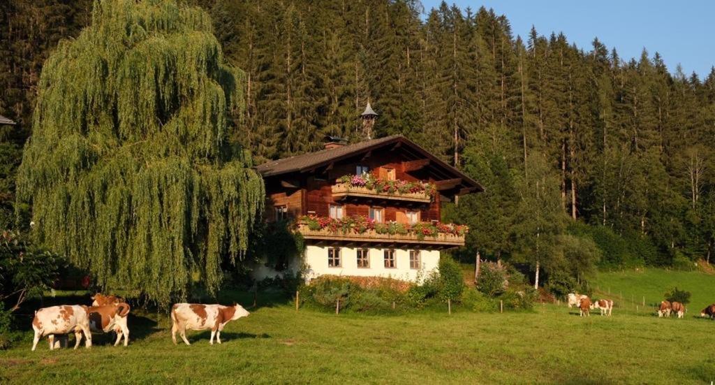 Villa Ellmauhof à Pfarrwerfen Extérieur photo