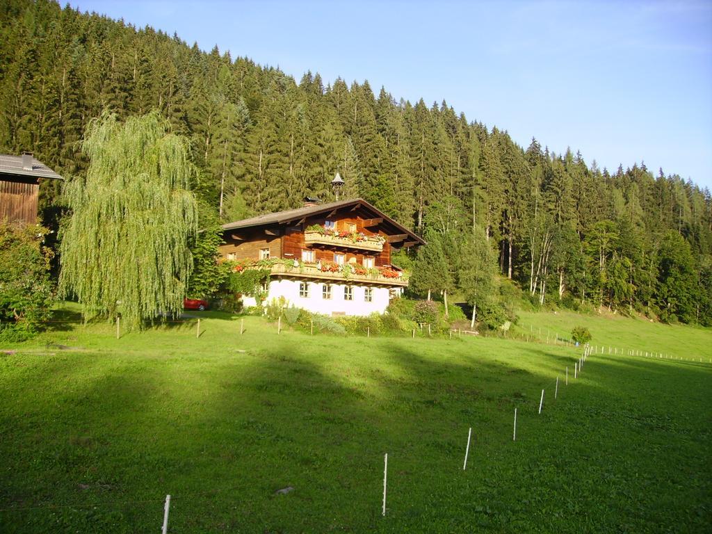 Villa Ellmauhof à Pfarrwerfen Extérieur photo