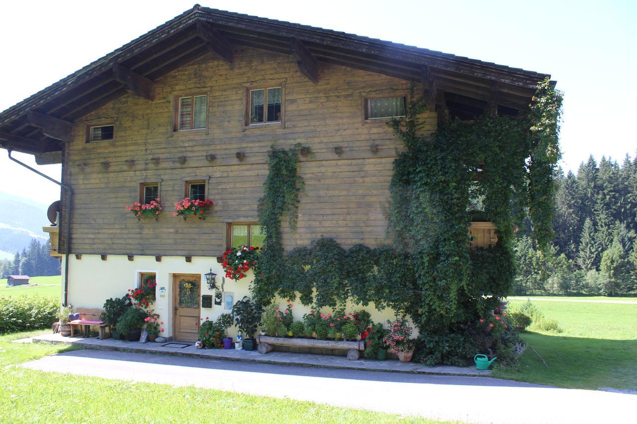 Villa Ellmauhof à Pfarrwerfen Extérieur photo